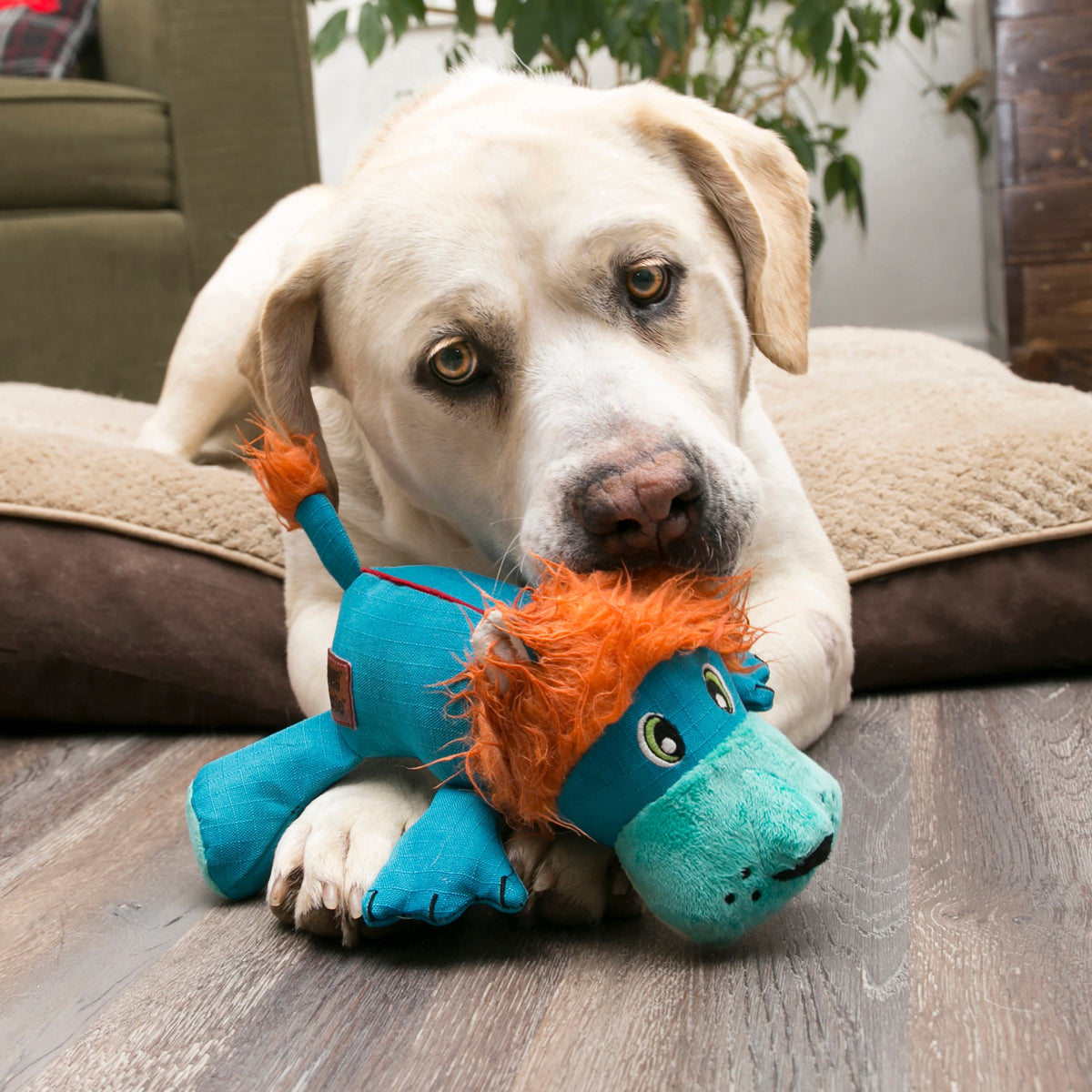 KONG Cozie Ultra Lucky Lion Dog Toy Sunnyside, NY Wespaw