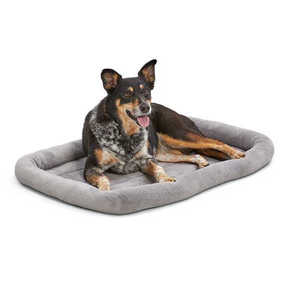 Midwest QuietTime® Deluxe Diamond Stitch Pet Bed - Sunnyside, NY