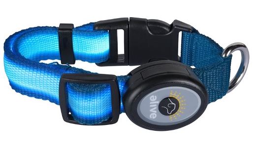 Elive LED Dog Collars (Small - 3/4