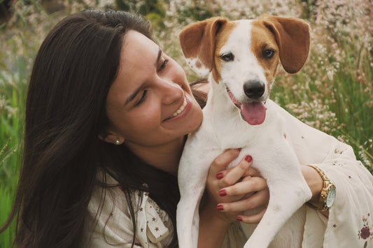 How to Prevent Your Pet from Getting Heartworms