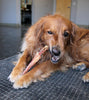 Tuesdays Natural Dog Company Large Beef Tendons Dog Treats (Bulk)