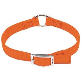 Dog Collar, Double-Ply, Orange,. 1 x 18-In.