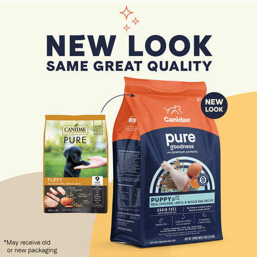 Canidae PURE Grain Free, Limited Ingredient Dry Puppy Food, Chicken, Lentil and Whole Egg (12-lb)
