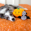 ZippyPaws Halloween Zippy Burrow Pumpkin with Bats Hide and Seek Puzzle Dog Toy