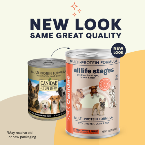 Canidae All Life Stages Wet Dog Food, Chicken, Lamb and Fish (13