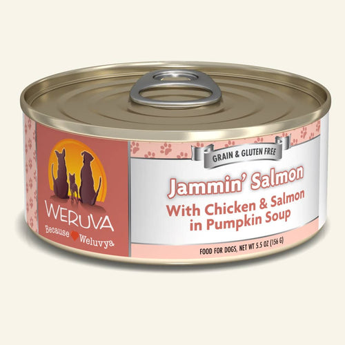Weruva Jammin’ Salmon with Chicken & Salmon in Pumpkin Soup Dog Food (14-oz, single can)