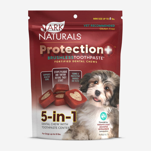 Ark Naturals Protection+ Brushless Toothpaste Dental Chews for Mini Dogs (4 oz)