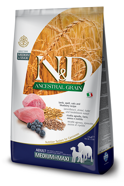 Farmina N&D Ancestral Grain Formula Medium & Maxi Lamb, Pumpkin & Blueberry Adult Dog Food (5.5-lb)