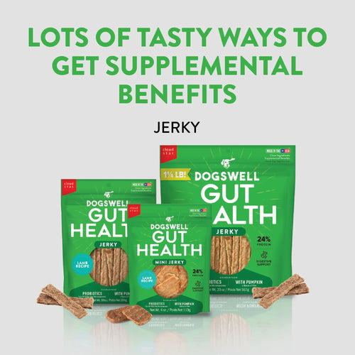 Dogswell Gut Health Mini Jerky Treats Lamb