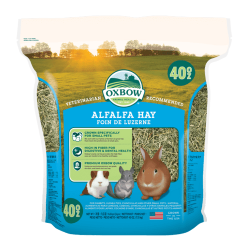 Oxbow Alfalfa Hay (40 oz)