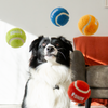 KONG Sport Softies Ball 2-Pk Assorted Dog Toy