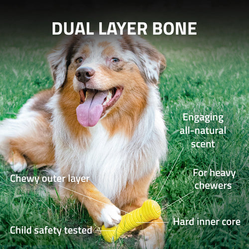 Playology Dual Layer Bone Dog Toy (Chicken Scent, Small)