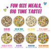 Weruva BFF Meals Fun Size Sampler! Variety Pack Dog Wet Food (2.75 Oz - 8pk)