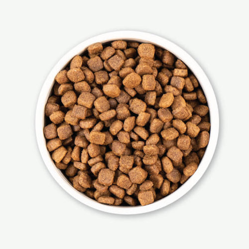 Earthborn Holistic Primitive Natural™ Dry Dog Food (28-lb)