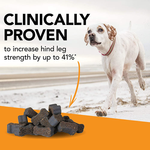 VetriScience GlycoFlex® Plus Chews for Medium and Large Dogs (Duck - 60 Count)