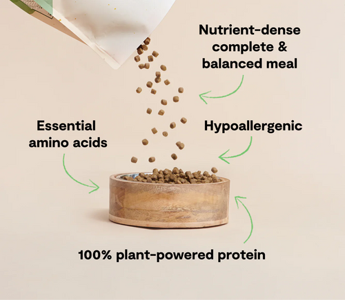 Open Farm Kind Earth Plant-Based Dog Kibble Dry Dog Food