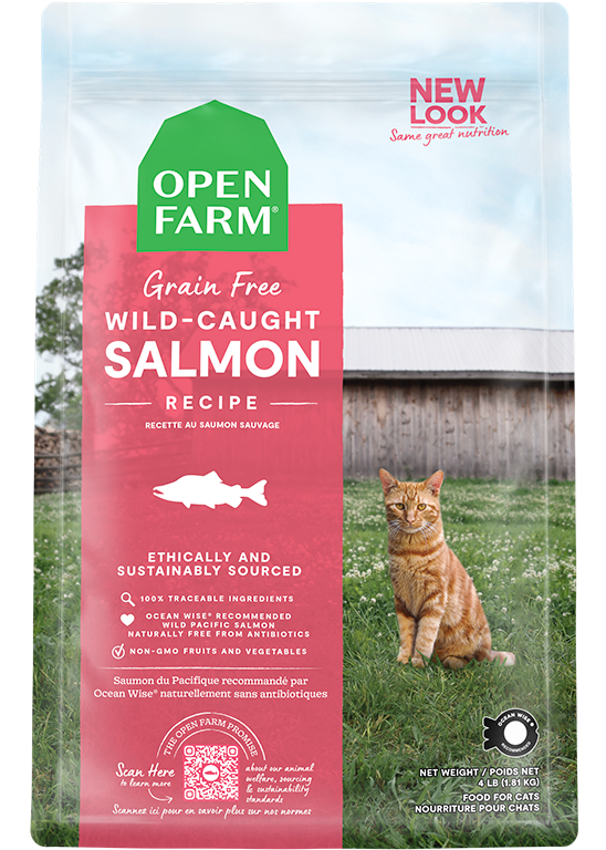 Open Wild-Caught Salmon Dry Cat Food