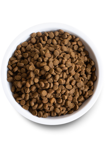 Open Catch-of-the-Season Whitefish Dry Cat Food (4-lbs)