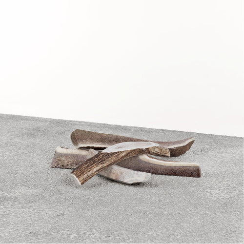 Primal Stag Antler Dog Chew