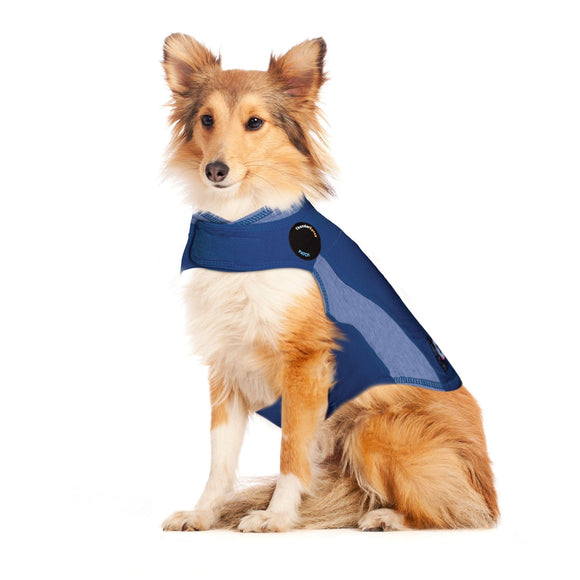 Thunderworks ThunderShirt for Dogs: Blue Polo (Small (15-25 Lbs))