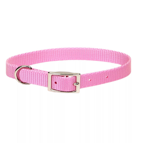 Coastal Pet Products Coastal Single-Ply Dog Collar Bright Pink 3/4 x 18