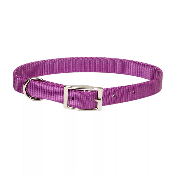 Coastal Pet Products Coastal Single-Ply Dog Collar Orchid 3/4