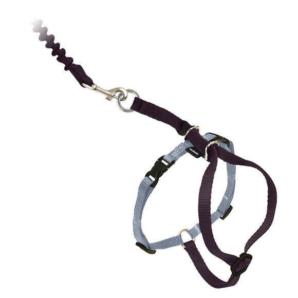 Come With Me Kitty™ Black Cat Harness & Bungee Leash (Large)