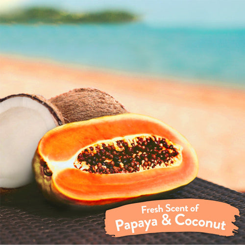 TropiClean Papaya & Coconut Luxury 2-in-1 Pet Wipes (100 Count)