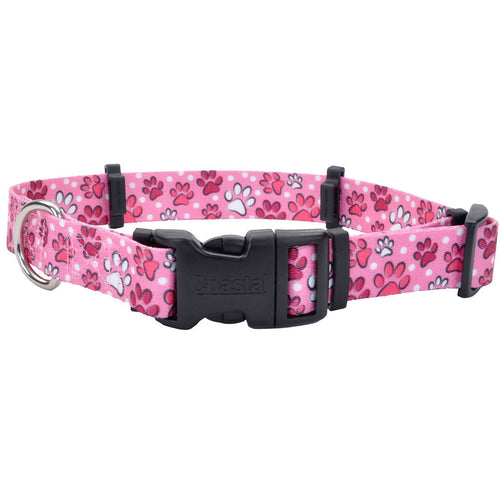 Coastal Pet Products SecureAway Flea Collar Protectors (1 X 18-26, Multi Paws)