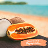 TropiClean Papaya Mist Deodorizing Spray for Pets (8 oz)