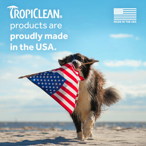 TropiClean Neem & Citrus Flea & Tick Relief Shampoo for Dogs (20 oz)