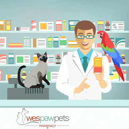 Pharmacycartoon Wespaw Pets pharmacist with parrot and cat