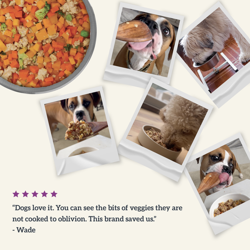 Health Extension Gently Cooked Grain Free Vegetarian Recipe