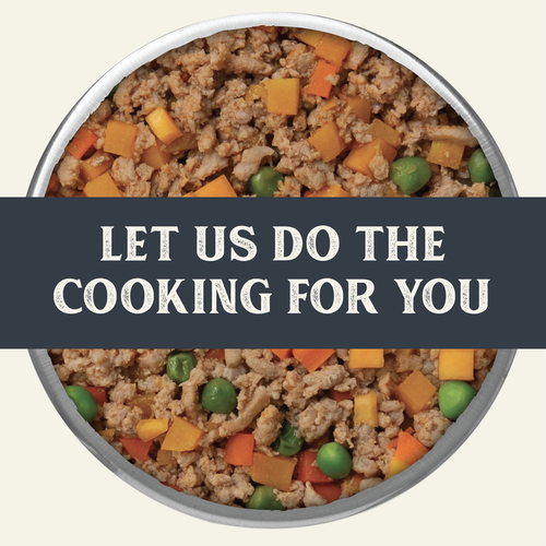 Health Extension Gently Cooked Grain Free Salmon Recipe