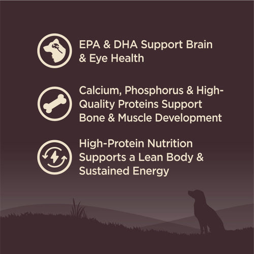 Wellness CORE Grain Free Natural Puppy Chicken Recipe Dog Food