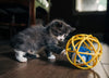 MultiPet Sonic the Hedgehog® Cage Ball for Cats