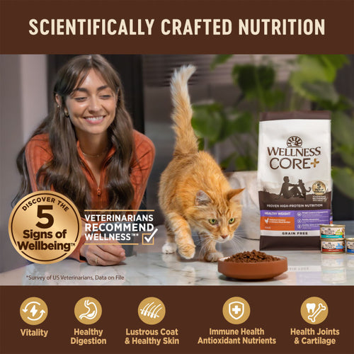 Wellness CORE+ Digestive Health Chicken & Rice Dry Cat Food