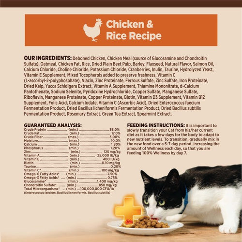 Wellness CORE+ Digestive Health Chicken & Rice Dry Cat Food