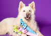 MultiPet LOOfA® Dog Birthday Dog Toy