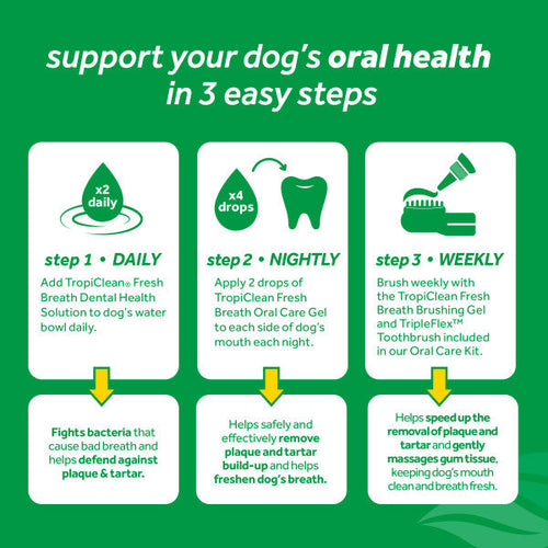 TropiClean Fresh Breath Dental & Oral Care Brushing Gel for Pets (2 oz)