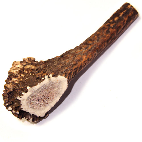 Tuesdays Natural Dog Company Royal Brown Deer Antler Large Whole Dog Treats