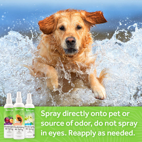 TropiClean Lime & Coconut Deodorizing Spray for Pets