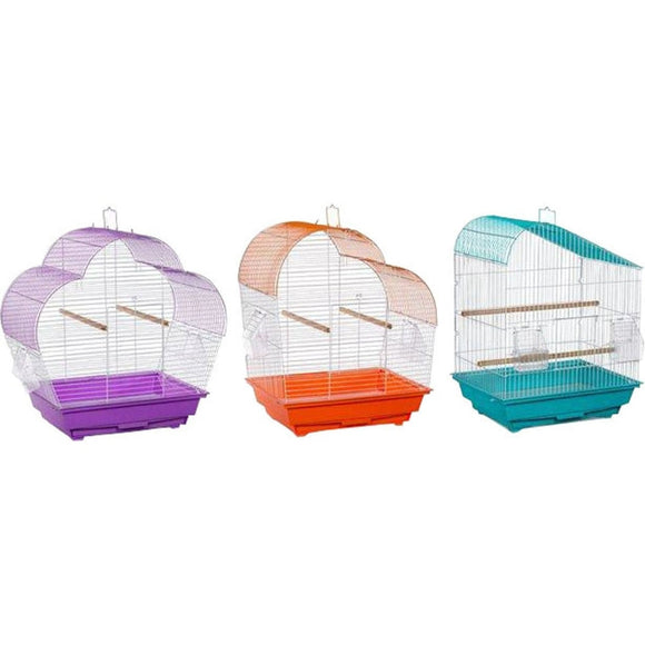 PALM BEACH BUDGIE COLLECTION (3 PACK)