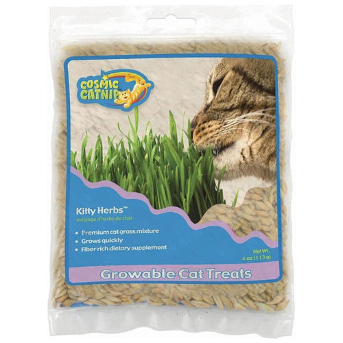 OURPET'S COSMIC CATNIP KITTY HERBS GROWABLE CAT TREATS (4-oz)