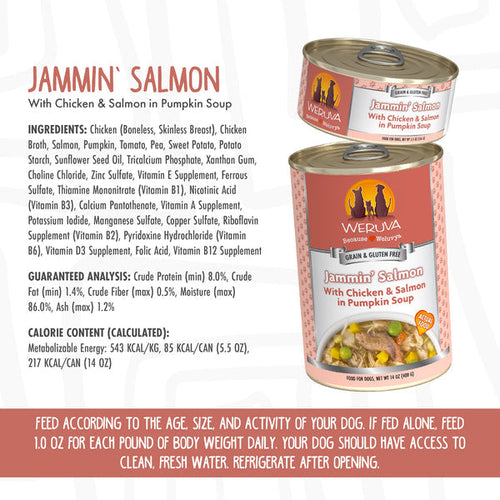 Weruva Classic Jammin' Salmon with Chicken & Salmon in Pumpkin Soup Dog Food (5.5 Oz - 24pk)