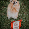 Stella & Chewy's Raw Coated Kibble With Wholesome Grains Cage Free Duck Recipe Dry Dog Food (25-lb)