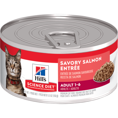 Hill's® Science Diet® Adult Savory Salmon Entrée Wet Cat Food (5.5 oz)